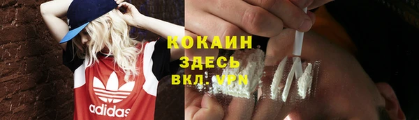хмурый Алексин