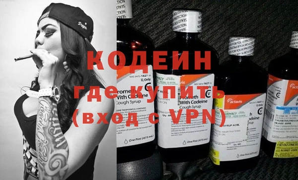 хмурый Алексин