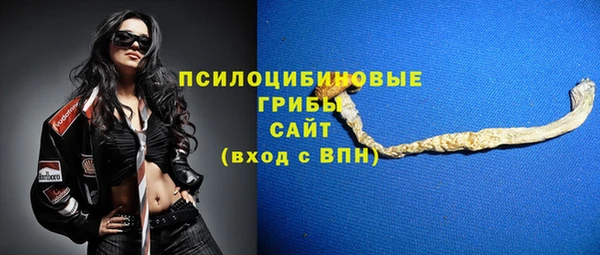 хмурый Алексин