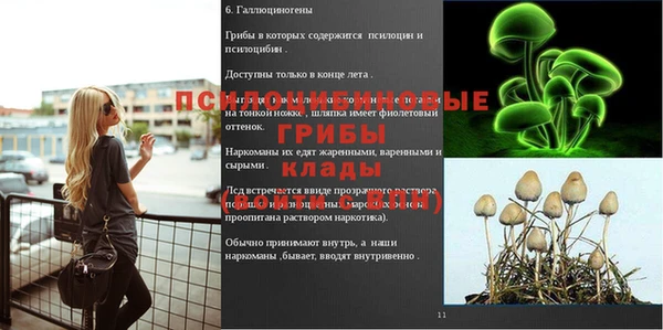 хмурый Алексин