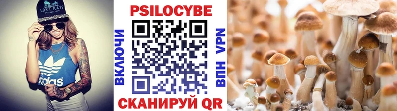 Галлюциногенные грибы GOLDEN TEACHER  Апрелевка 